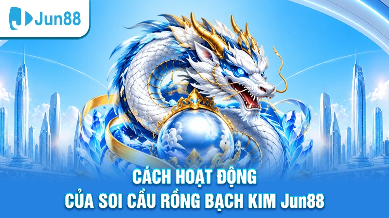 Cách hoạt động của soi cầu Rồng Bạch Kim Jun88