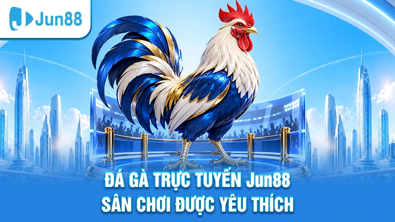 Đá gà trực tuyến đang là sân chơi được rất nhiều người yêu thích tại Jun88